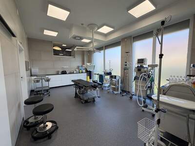 Gewerbeobjekt kaufen in 8230 Hartberg (Bild 3)