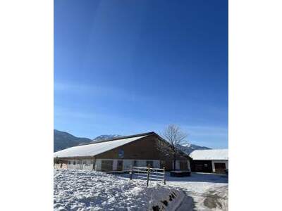 Grundstück kaufen in 8962 Gröbming