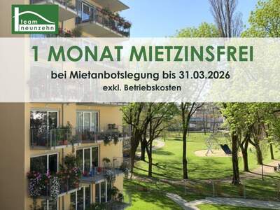 Terrassenwohnung mieten in 8020 Graz (Bild 1)