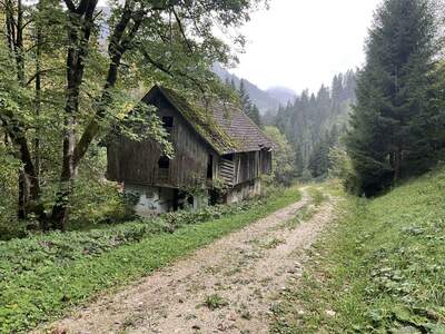 Gewerbeobjekt kaufen in 9135 Ebriach (Bild 4)