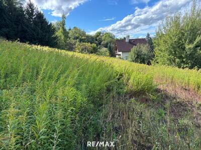 Grundstück kaufen in 4782 St. Florian