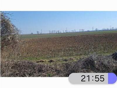 Einfamilienhaus kaufen in 1220 Wien (Bild 1)