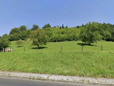 Grundstück kaufen in 4460 Losenstein