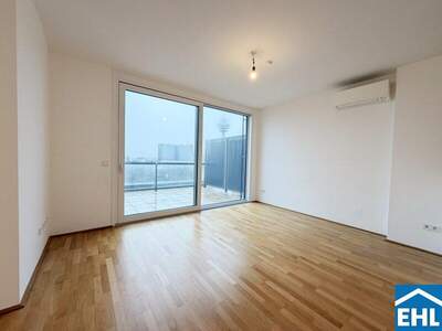 Terrassenwohnung mieten in 1030 Wien (Bild 1)