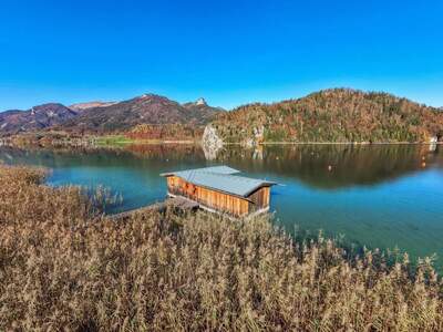Haus kaufen in 5350 Strobl
