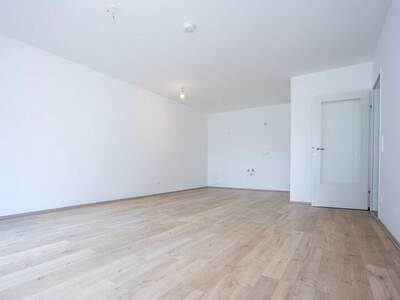 Terrassenwohnung kaufen in 2700 Wr. Neustadt (Bild 3)