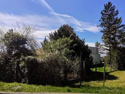 Grundstück kaufen in 2452 Mannersdorf (Bild 2)