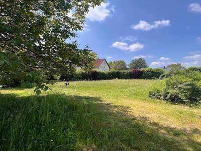 Grundstück kaufen in 8431 Gralla (Bild 3)