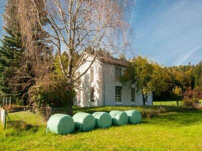 Gewerbeobjekt mieten in 9150 Bleiburg (Bild 3)