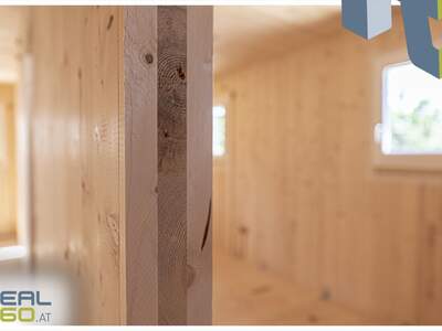 Einfamilienhaus kaufen in 4053 Haid (Bild 2)