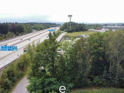 Gewerbeobjekt kaufen in 4642 Sattledt (Bild 5)