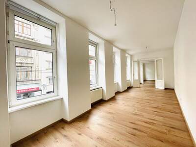 Altbauwohnung mieten in 1060 Wien (Bild 5)