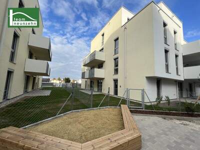 Terrassenwohnung mieten in 1220 Wien (Bild 1)