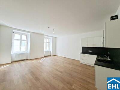 Terrassenwohnung mieten in 1040 Wien (Bild 1)