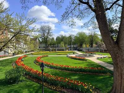 Eigentumswohnung in 4600 Wels