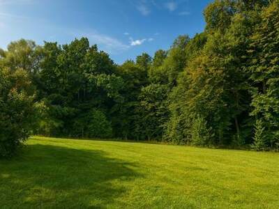 Grundstück kaufen in 3033 Altlengbach