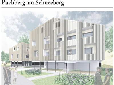 Grundstück kaufen in 2734 Puchberg