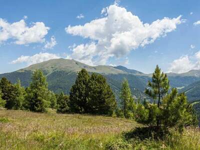 Grundstück kaufen in 8864 Turracherhöhe (Bild 1)