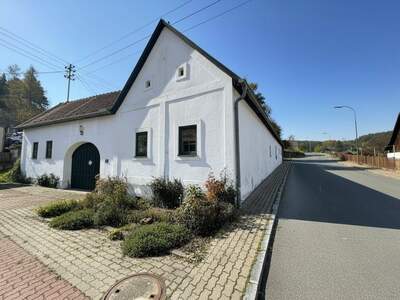 Haus kaufen in 7433 Tauchen