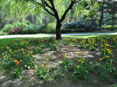 Mietwohnung in 1100 Wien