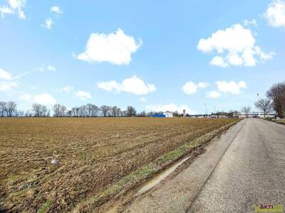 Grundstück mieten in 4975 Suben