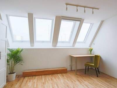 Terrassenwohnung mieten in 1070 Wien (Bild 3)