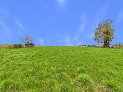 Grundstück kaufen in 4060 Leonding