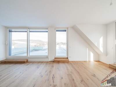 Terrassenwohnung kaufen in 1190 Wien (Bild 3)