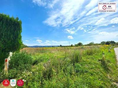 Grundstück kaufen in 2700 Wiener Neustadt