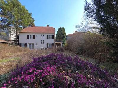 Haus kaufen in 2130 Mistelbach