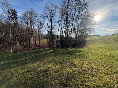 Grundstück kaufen in 4400 Steyr