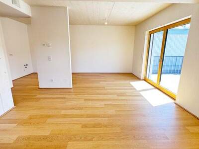 Terrassenwohnung kaufen in 2340 Mödling (Bild 4)