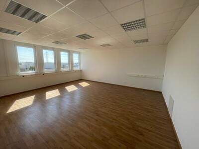 Büro / Praxis mieten in 2351 Wr. Neudorf (Bild 2)