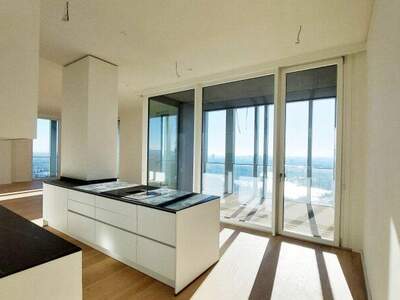 Terrassenwohnung mieten in 1220 Wien (Bild 3)