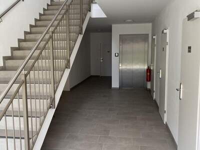 Mietwohnung in 4600 Wels (Bild 5)