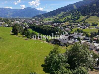 Einfamilienhaus kaufen in 5710 Kaprun (Bild 3)