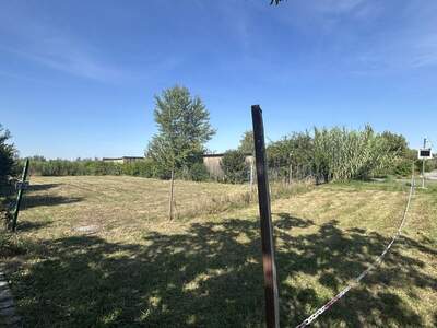 Grundstück kaufen in 7100 Neusiedl (Bild 4)