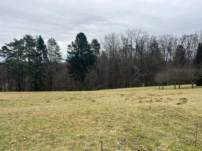 Grundstück kaufen in 8302 Nestelbach