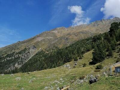 Gewerbeobjekt kaufen in 6474 Jerzens (Bild 1)