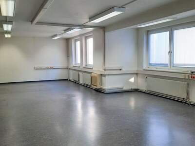 Gewerbeobjekt mieten in 1020 Wien (Bild 5)