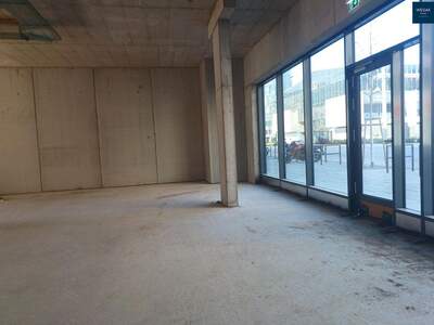 Gewerbeobjekt mieten in 8020 Graz (Bild 3)