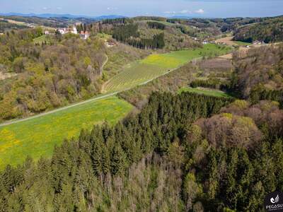 Gewerbeobjekt kaufen in 8333 Riegersburg (Bild 3)