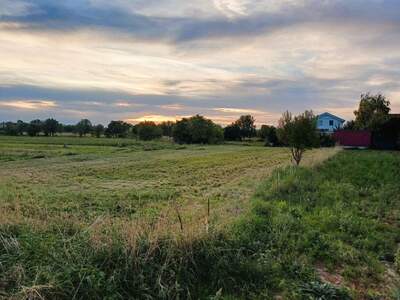 Grundstück kaufen in 7141 Podersdorf (Bild 1)
