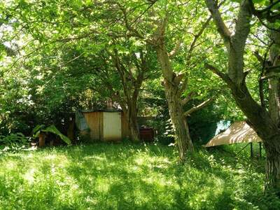 Grundstück kaufen in 1230 Wien (Bild 1)