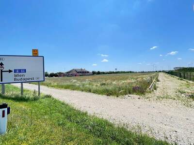 Grundstück kaufen in 2425 Nickelsdorf