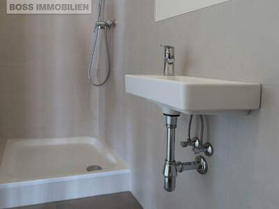 Gewerbeobjekt mieten in 4050 Traun (Bild 4)