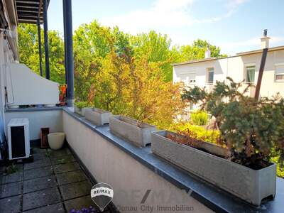 Terrassenwohnung kaufen in 1230 Wien (Bild 5)