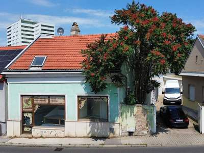 Haus kaufen in 7210 Mattersburg