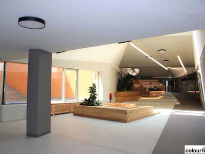 Gewerbeobjekt mieten in 1100 Wien (Bild 2)