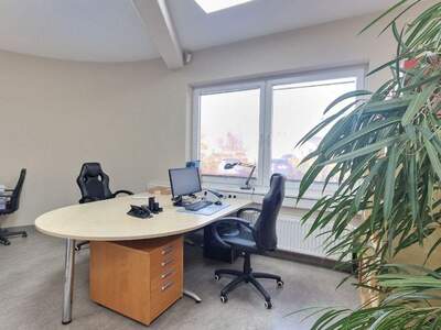 Gewerbeobjekt mieten in 2120 Wolkersdorf (Bild 2)